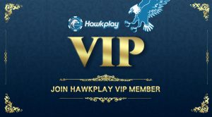Hawkplay VIP Member