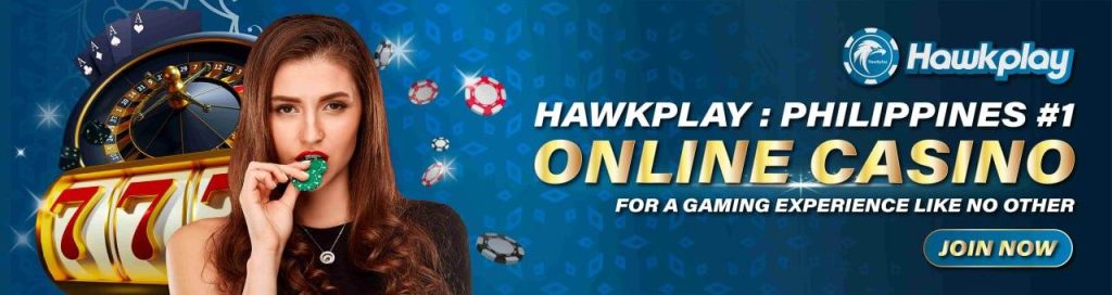 hawkplay banner